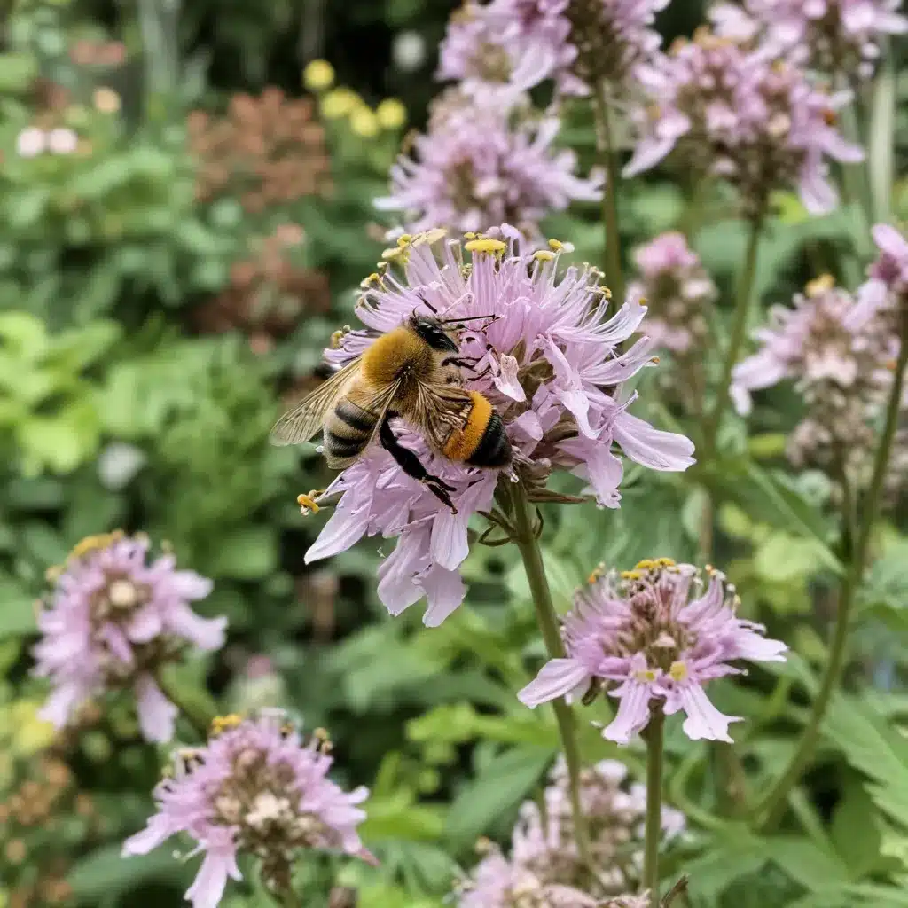 Buzzing with Biodiversity: Pollinator-Friendly Gardening at Stanley Park